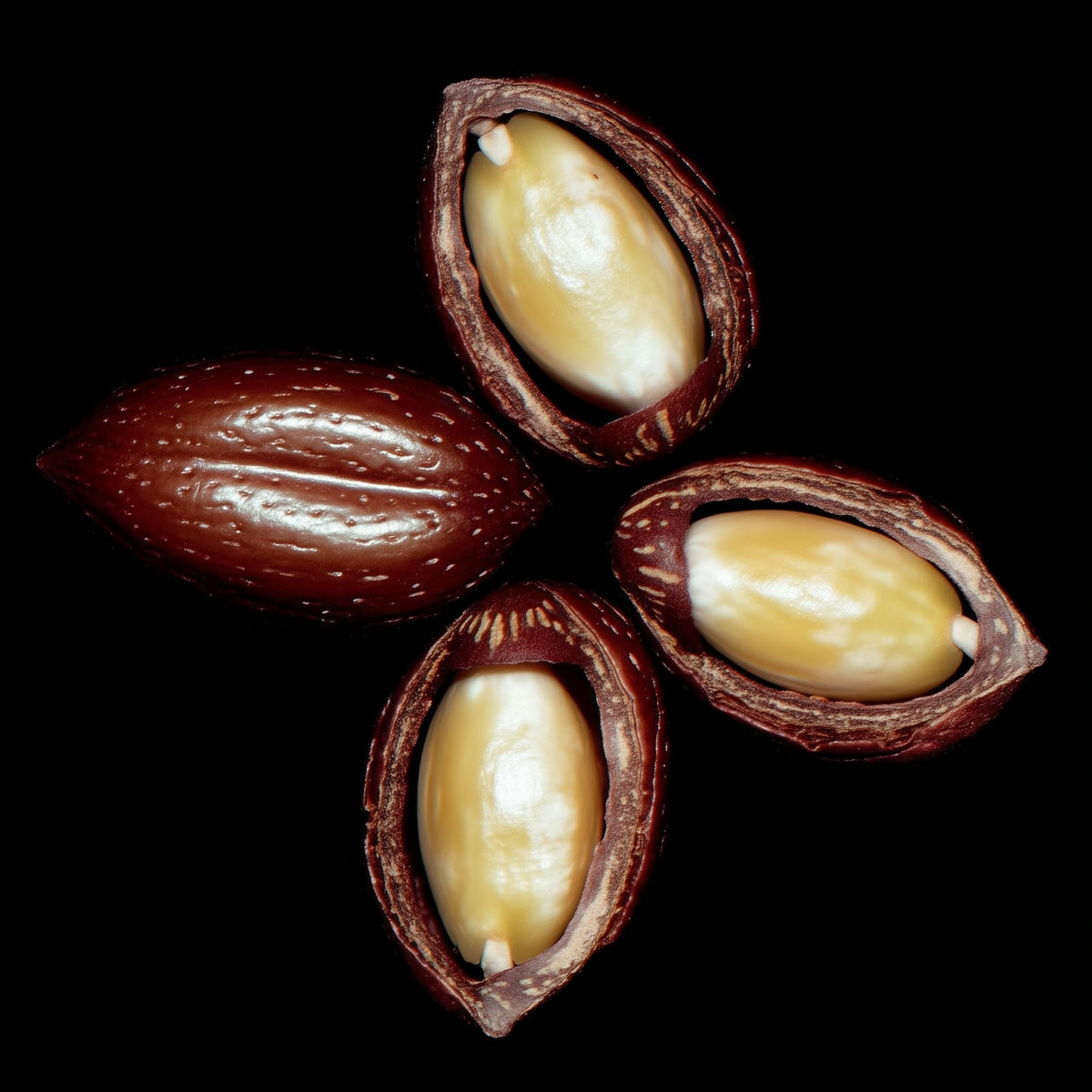 Close-up of four split nuts with a dark background