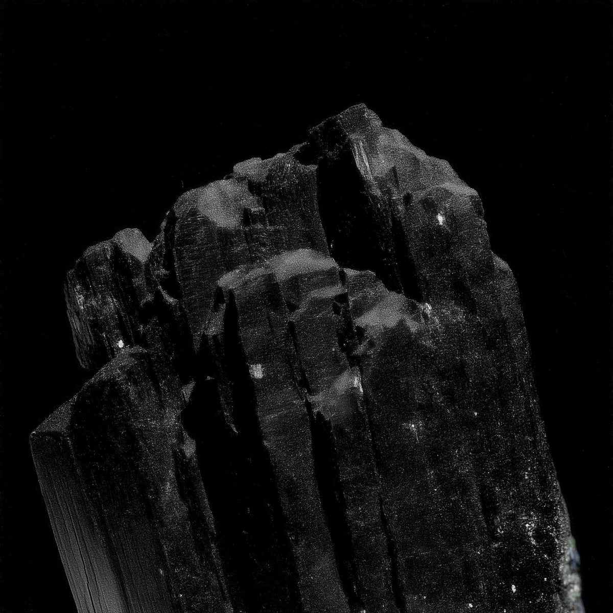 Black and white image of a textured rock or mineral against a black background