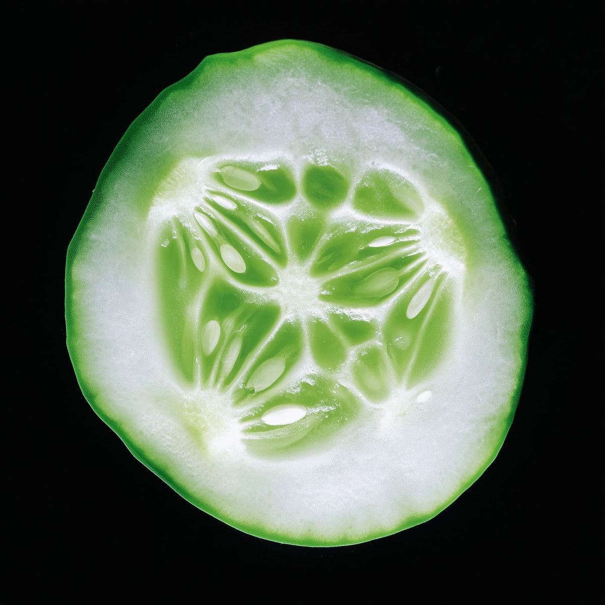Sliced cucumber on a black background