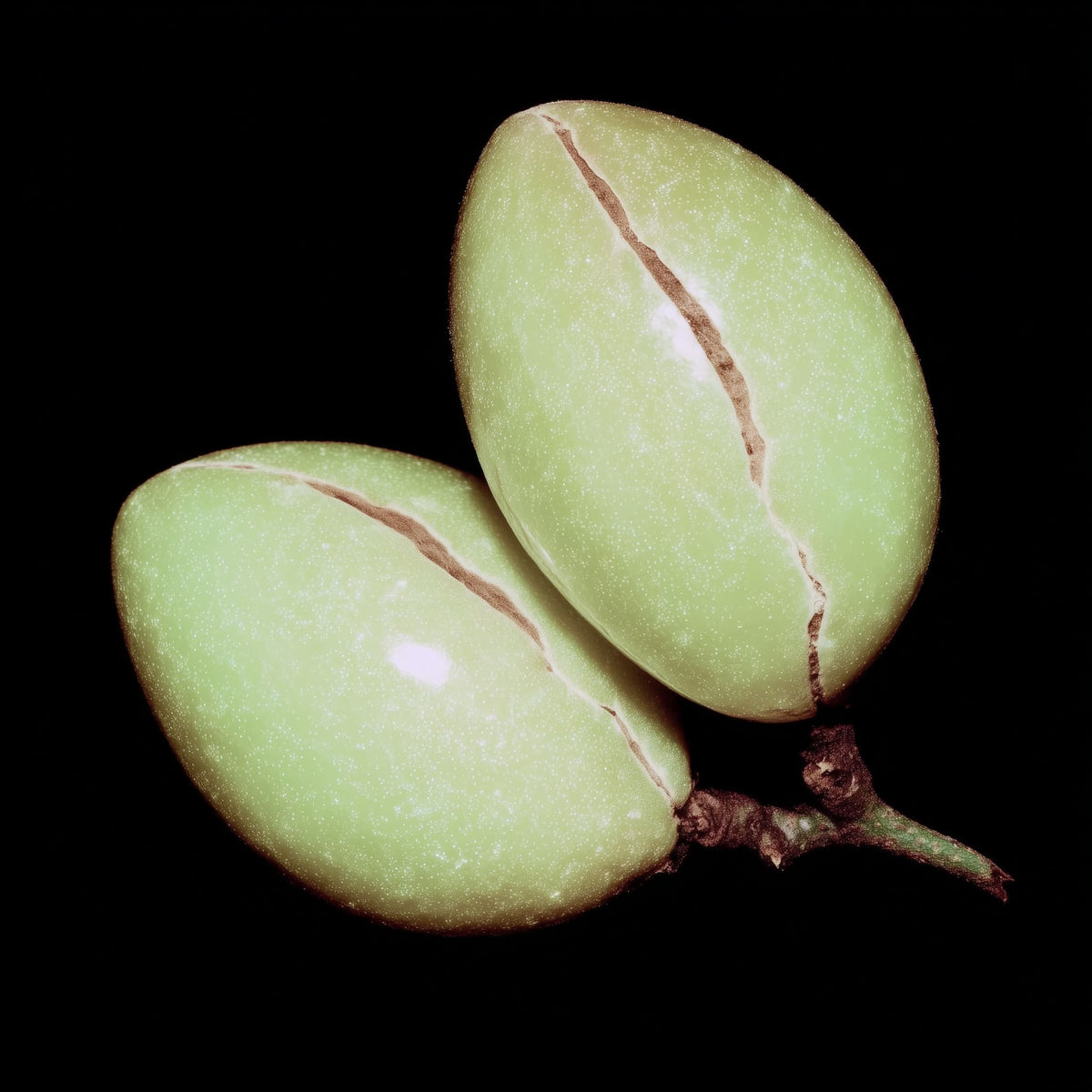 Two green almonds on a black background