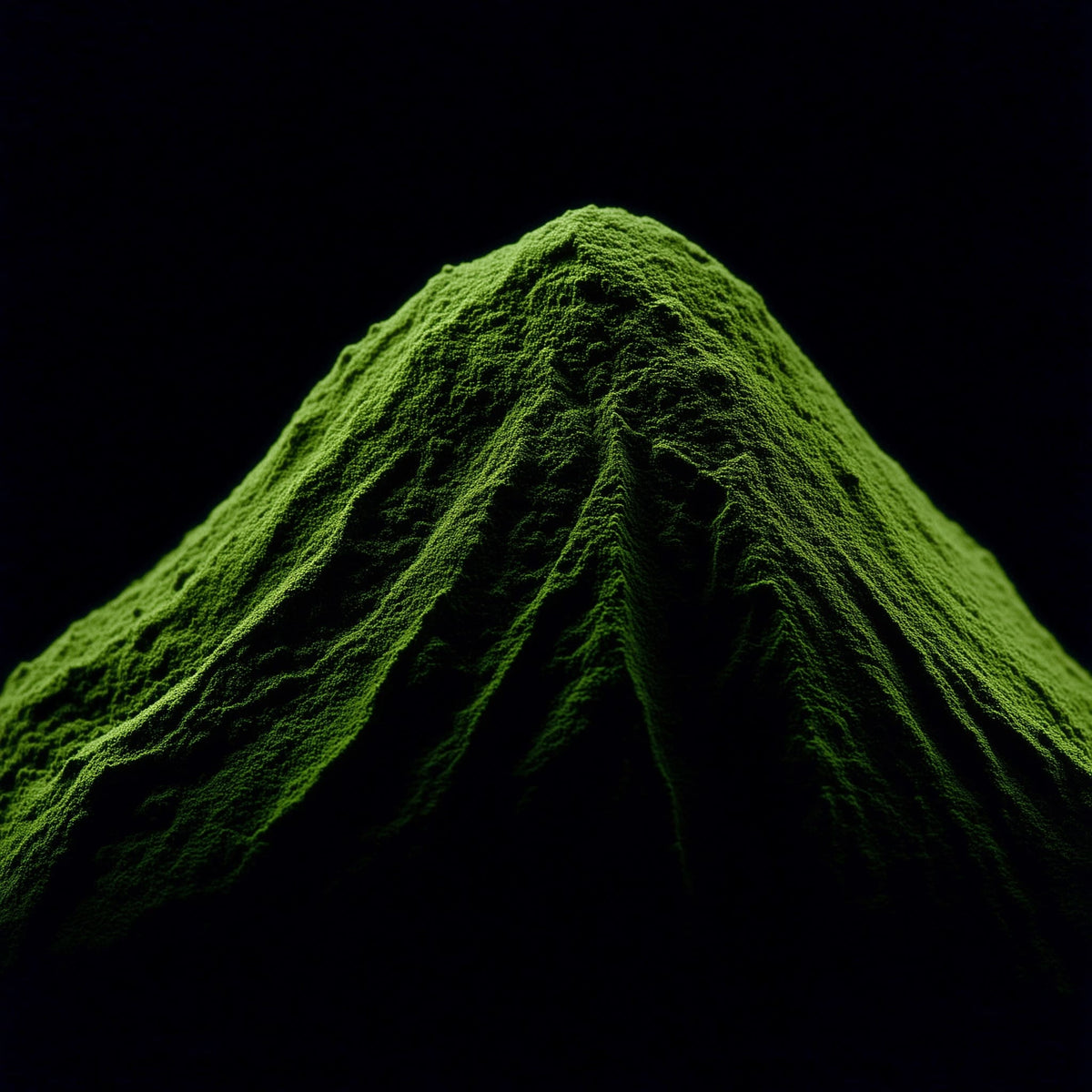 Close-up of green moss on a black background