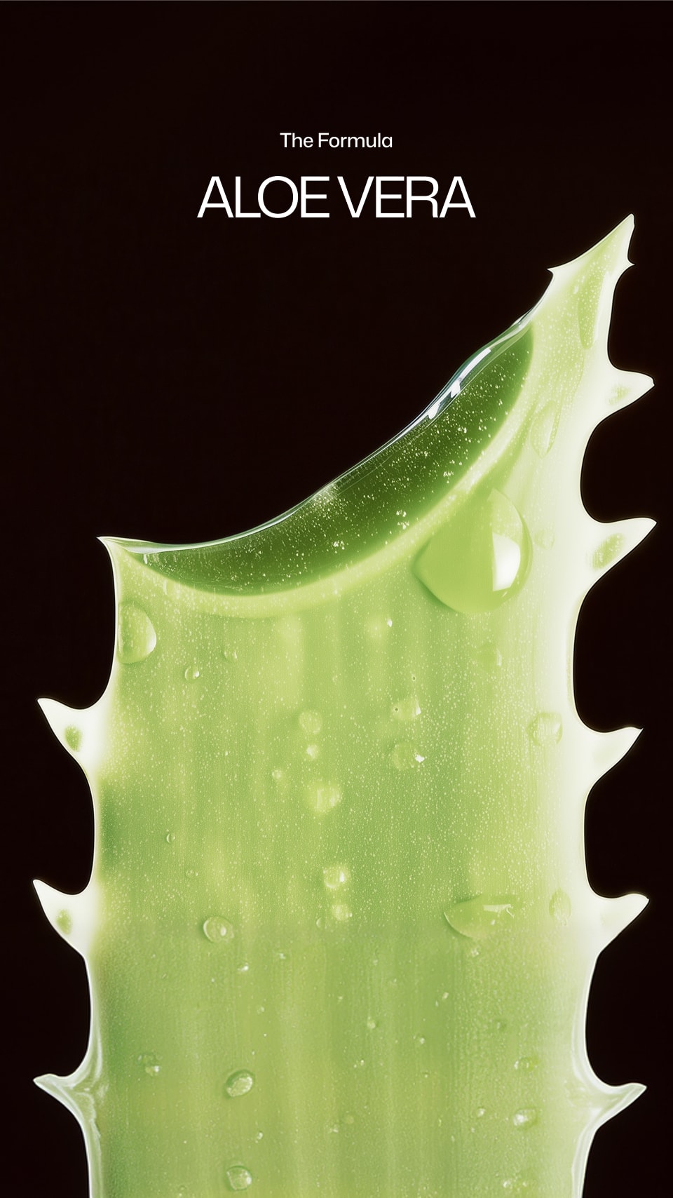 Close-up of an aloe vera plant with water droplets on a black background, featuring the text 'Aloe Vera'.