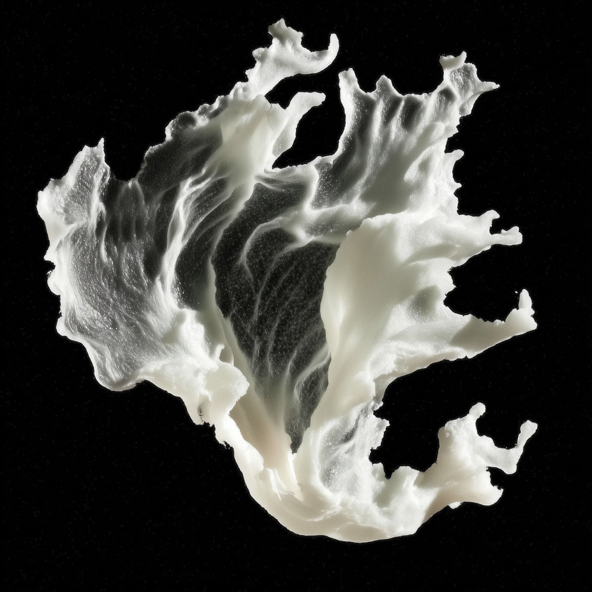 White, organic-shaped object on a black background